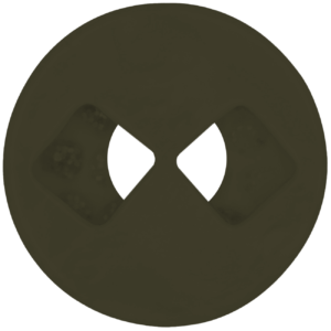 aceituna