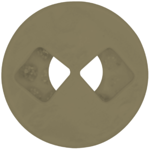 gabardina