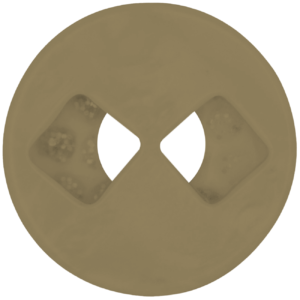 kaki