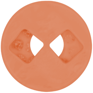melon