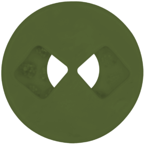 olivo