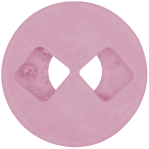 orquidea