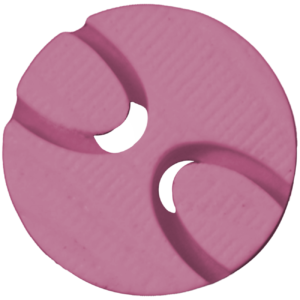 orquidea
